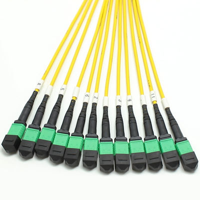 Kabel Fanout MPO 1M