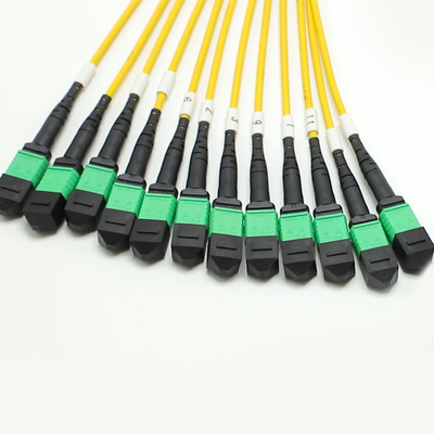 100g 200g mpo jantan betina 8 12 16 24 24 Fiber to mpo betina jantan fiber optic patch cord untuk kabel kepadatan tinggi di ruang kecil