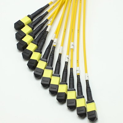 100g 200g mpo jantan betina 8 12 16 24 24 Fiber to mpo betina jantan fiber optic patch cord untuk kabel kepadatan tinggi di ruang kecil