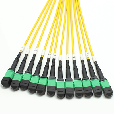 100g 200g mpo jantan betina 8 12 16 24 24 Fiber to mpo betina jantan fiber optic patch cord untuk kabel kepadatan tinggi di ruang kecil
