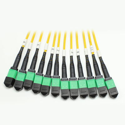 100g 200g mpo jantan betina 8 12 16 24 24 Fiber to mpo betina jantan fiber optic patch cord untuk kabel kepadatan tinggi di ruang kecil