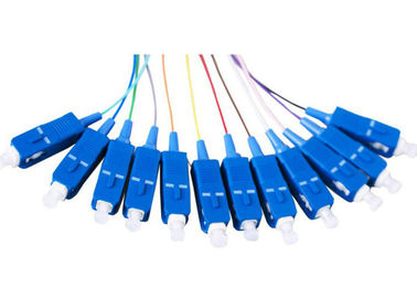 12 warna SC simplex Fiber Optic Pigtail dengan konektor SC, Kabel 1.5M Fiber